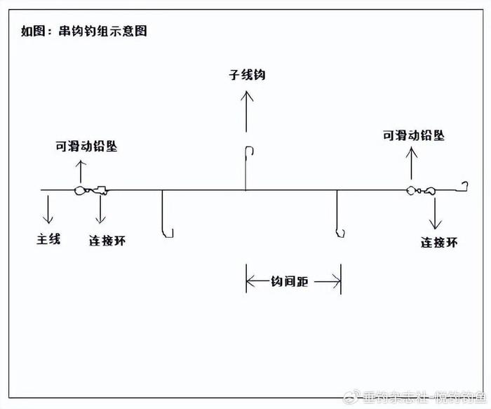 微铅筏钓线组示意图图片