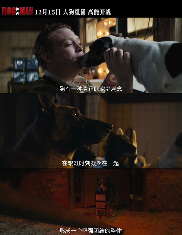 狗神看到最后道格拉斯被狗狗环绕的那一幕我狂哭!