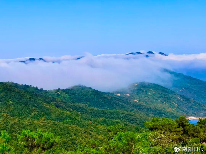 2024七峰山夜游云顶狂欢季暨南阳直达七峰山接驳车首发启动仪式开幕