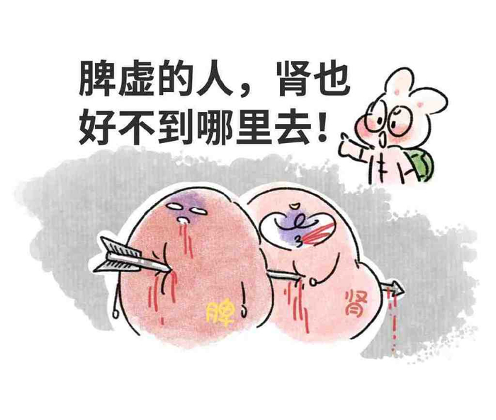 千古脾胃第一方:既能治气虚,又能治脾虚,还能除湿