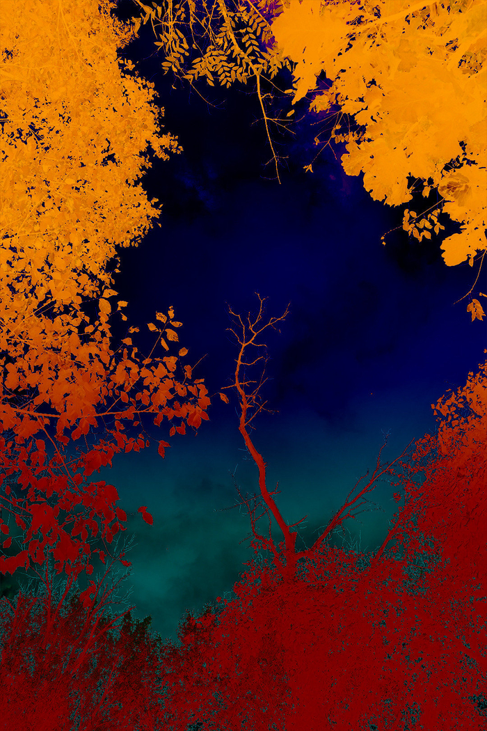 迷幻风景petersolarz