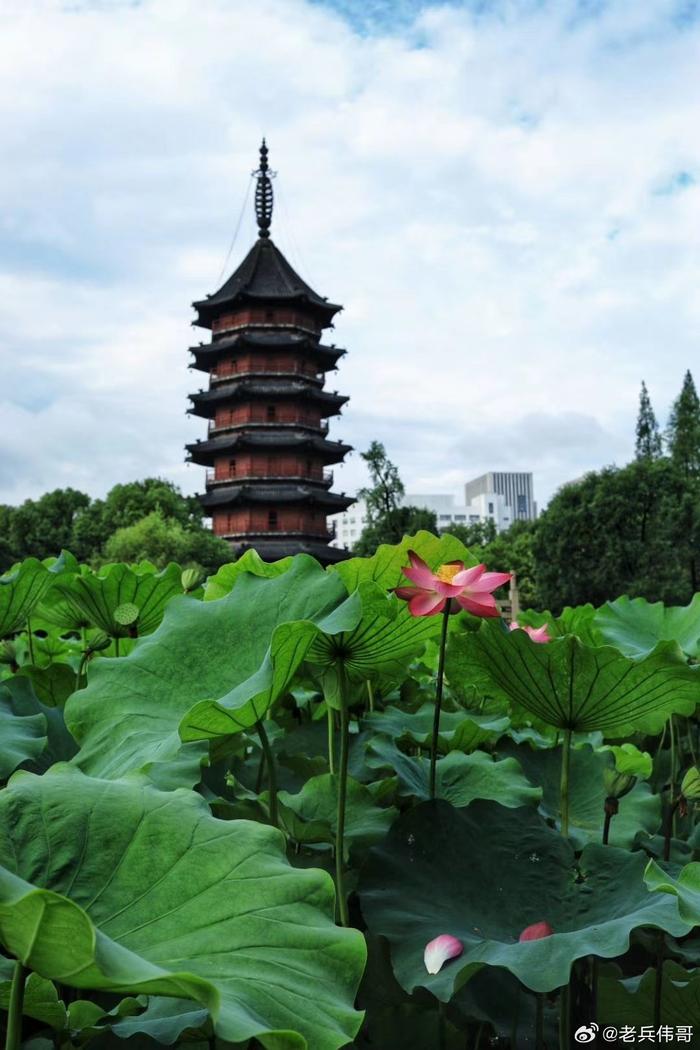 湖州市飞英塔图片