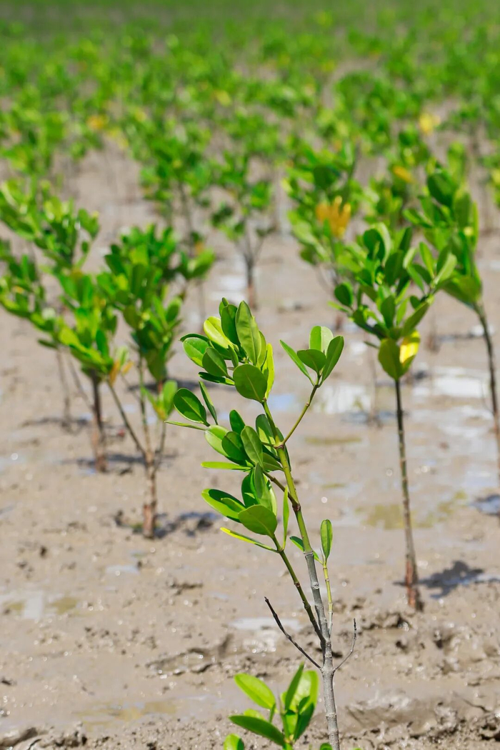 六百多块的SPA值不值?揭秘高性价比护理的5大隐藏福利