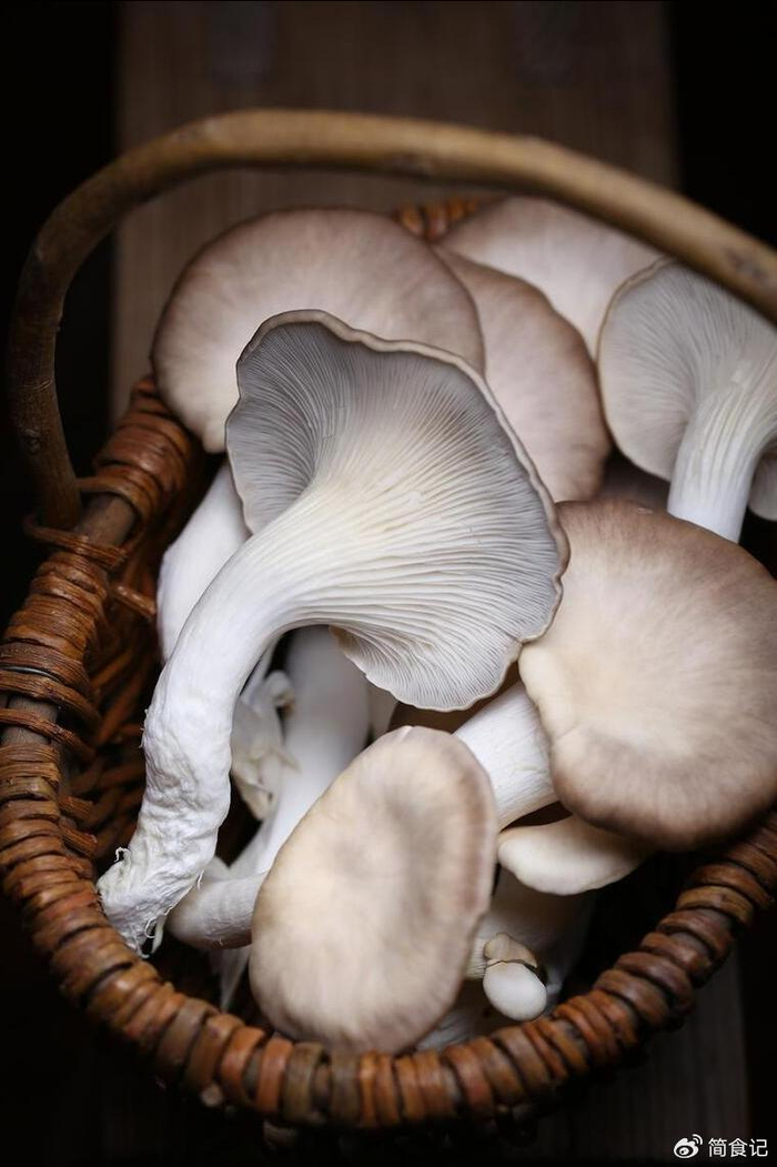 平菇的"死对头",这几种千万不可同食,吃了等于没病找病,切记|平菇|死