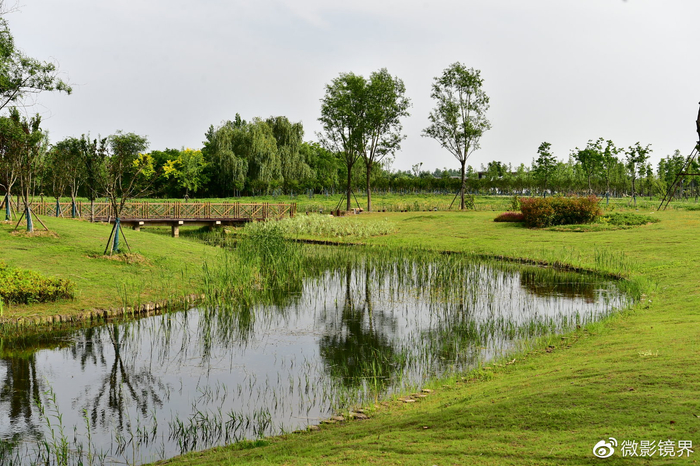 襄阳鱼梁洲中央生态公园初探:汉水文化珠链区的桥