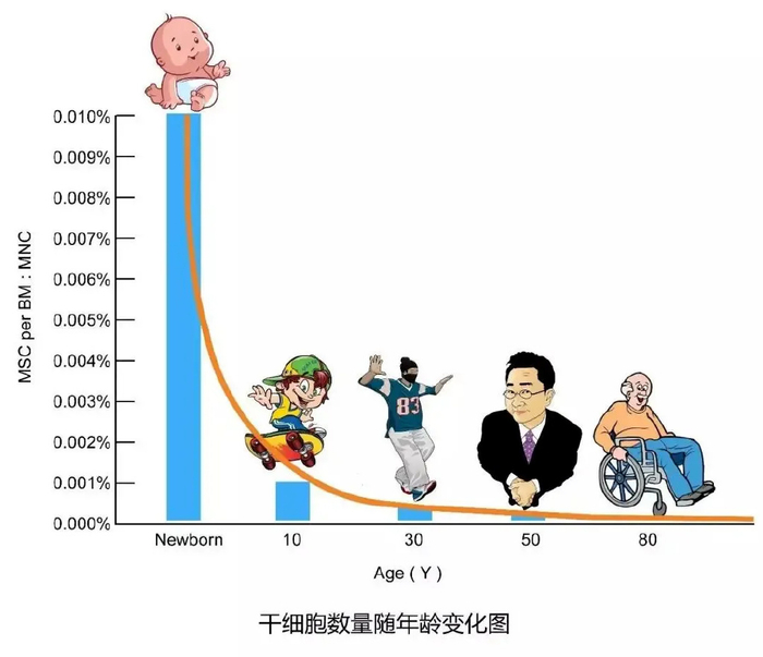 老年衰弱带来的健康问题,间充质干细胞最新临床进展!|老年综合征|老年人|疾病|共识|安慰剂_新浪新闻