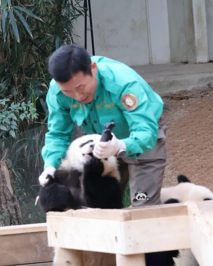 尝试自拍的辉宝