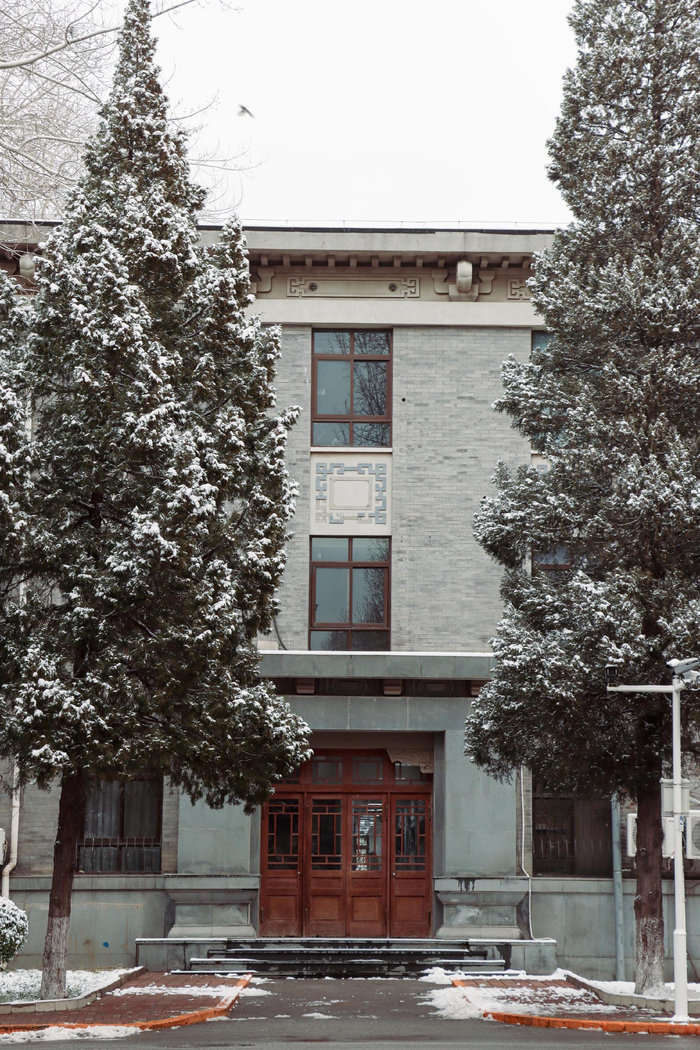 北京雪景随手拍之北京师范大学雪景