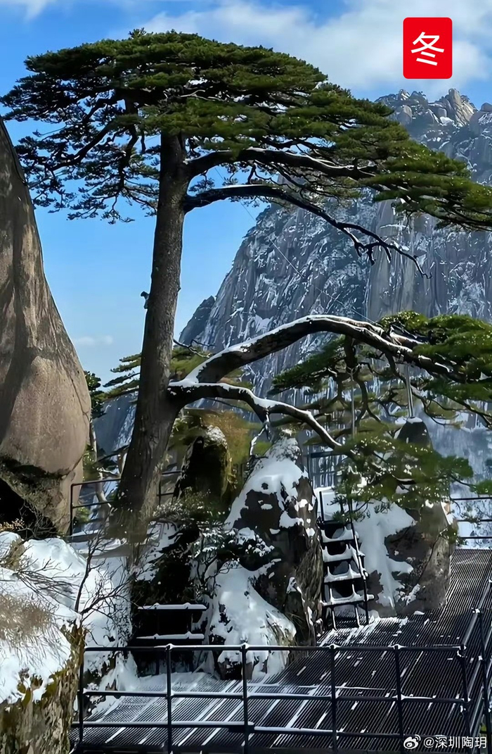 网友,往返黄山八次, 拍成迎客松的"春夏秋冬"