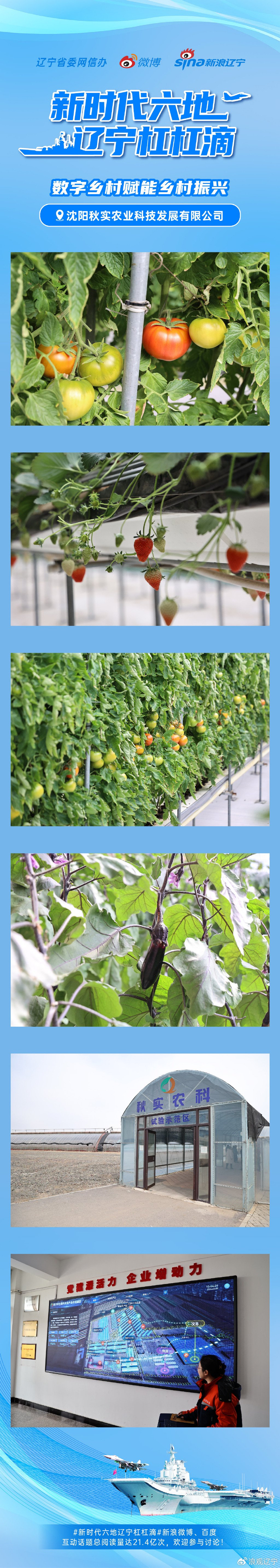 走进位于新民市的沈阳秋实农科植物工厂,一排排高大的番茄藤如森林般