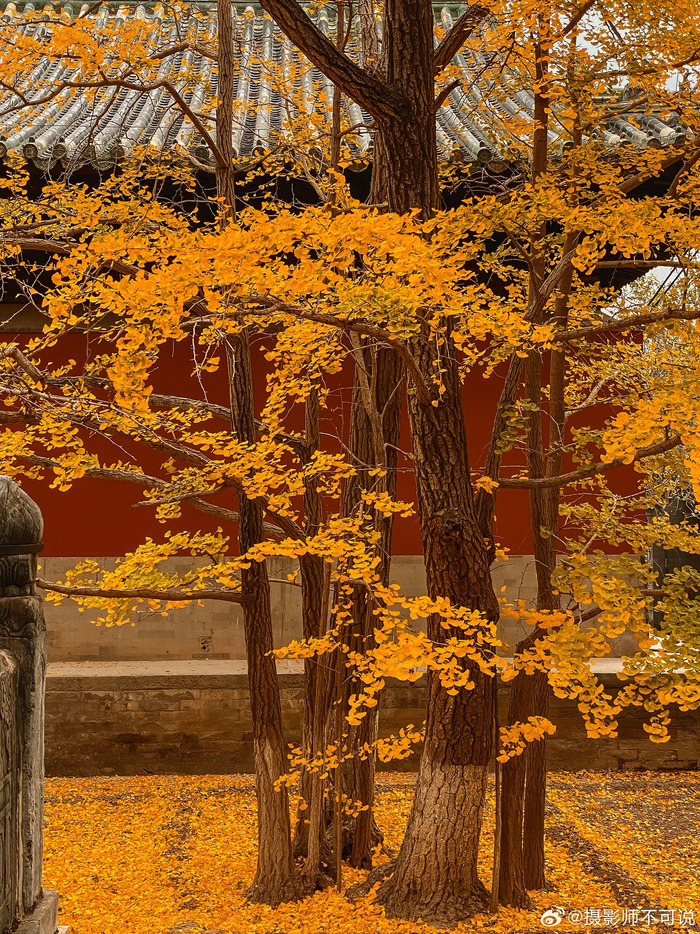 《北京古寺行》千年古寺,静谧幽深,历史与信仰在这里交融……__财经头条