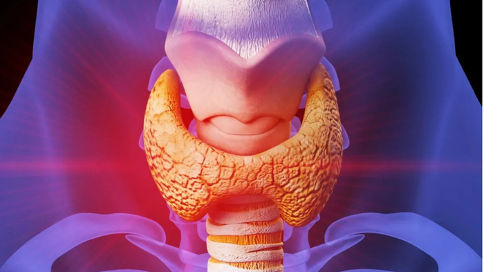 碘与甲状腺激素，对孕妇和青少年的影响有多大