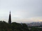 IP攒局，你入局