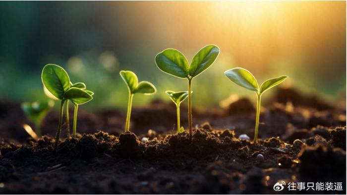 高龄备孕，根源不在卵子！想顺利怀孕，一定要先扫清这3大障碍