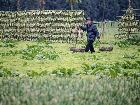 农村啃老不是洪水猛兽，教育年轻人向善是开错了药方