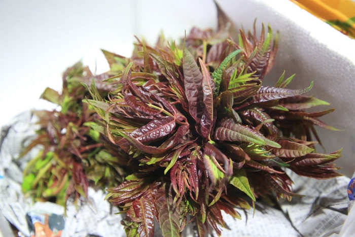 宁波传统春菜四大金刚你都吃过吗