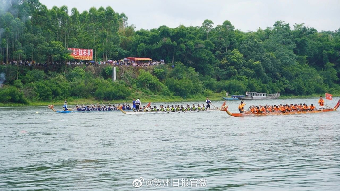 经过三轮激烈角逐,贺州市八步区信都镇"贺州桂东农村合作银行杯"龙舟