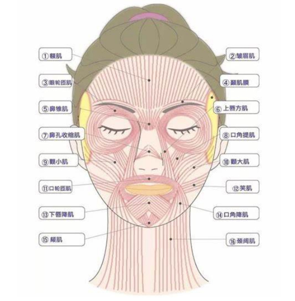 超棒的女性面部抗衰解决方案,一定要尝试的这个办法!