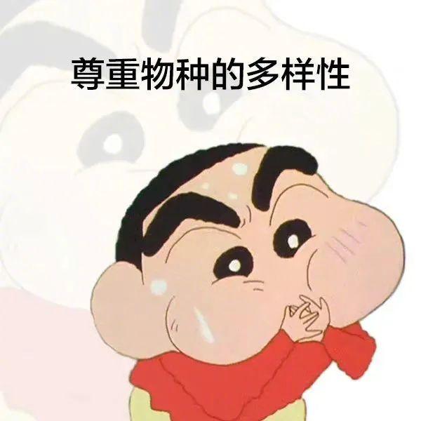 表情包这么萌