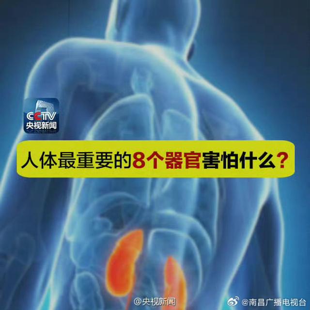 频繁进食或影响胰腺健康，保护器官需注意
