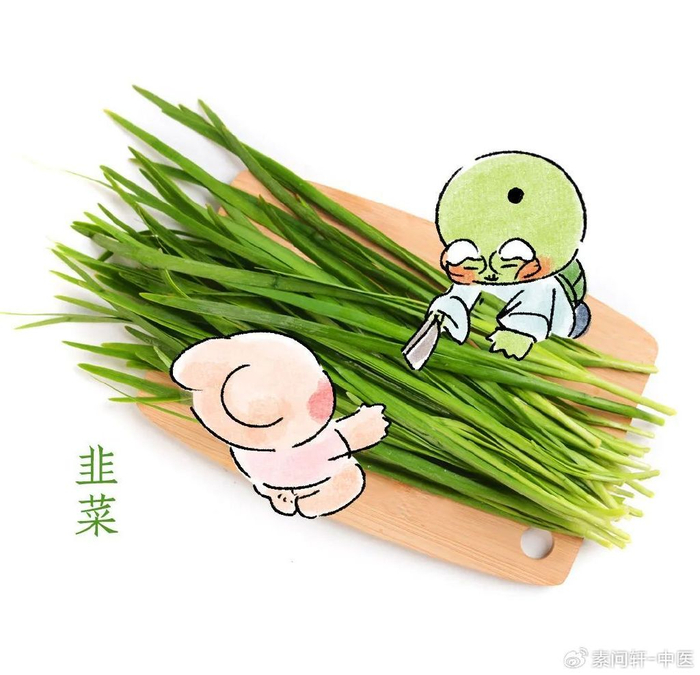 所以,韭菜又叫起阳草,生阳草,韭菜性温,擅长温中焦和肾阳,非常适合