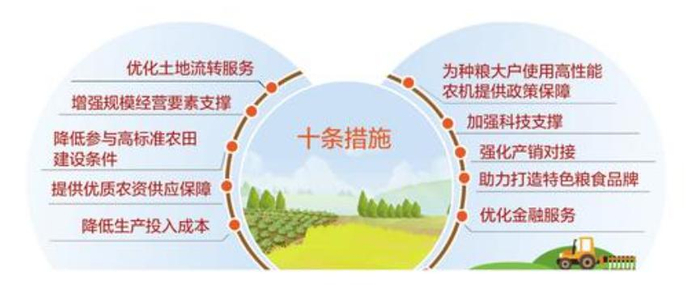 "十条措施"让种粮大户有钱挣得实惠打通制约种粮大户发展的堵点
