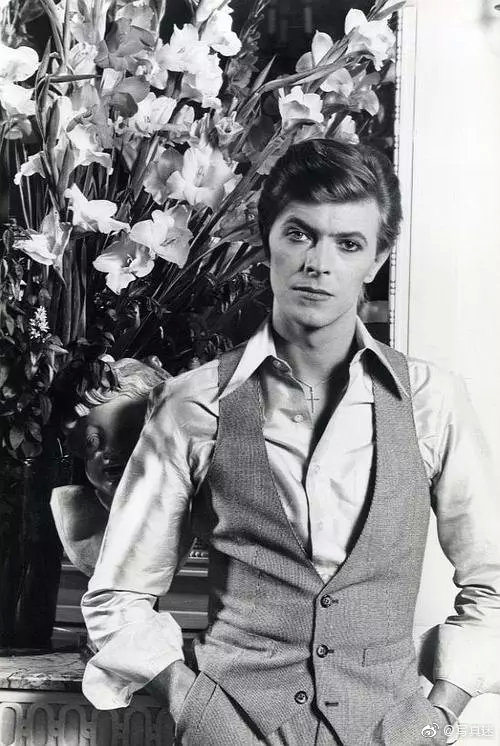 大卫·鲍伊 david bowie 不同时期下的造型写真 679/ 9整理了最爱的