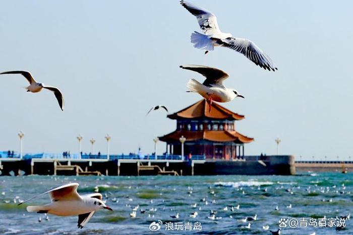 三月最佳旅游地方(三月旅游国内最佳地)