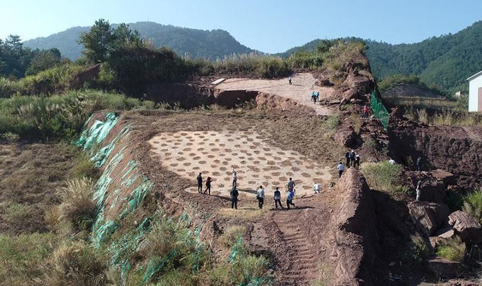 福建龙岩发现全球最大恐爪龙类足迹