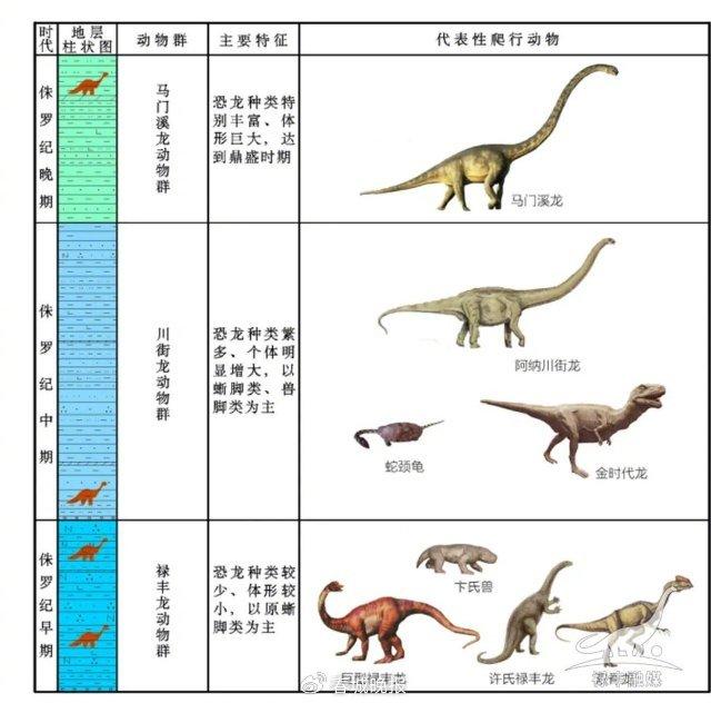 开屏策划