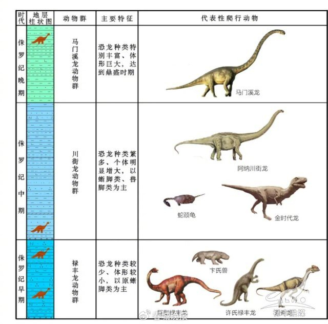 在川街盆地内的早,中,晚侏罗纪地层都有恐龙化石及恐龙遗迹化石分布