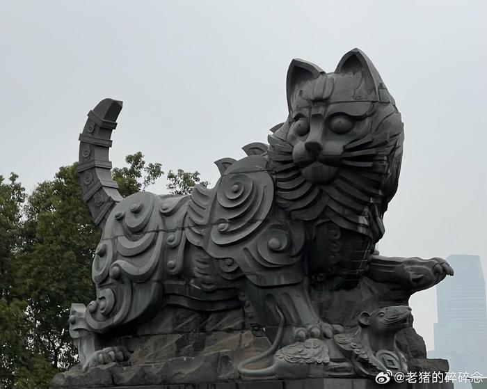 南昌八一大桥黑猫白猫图片