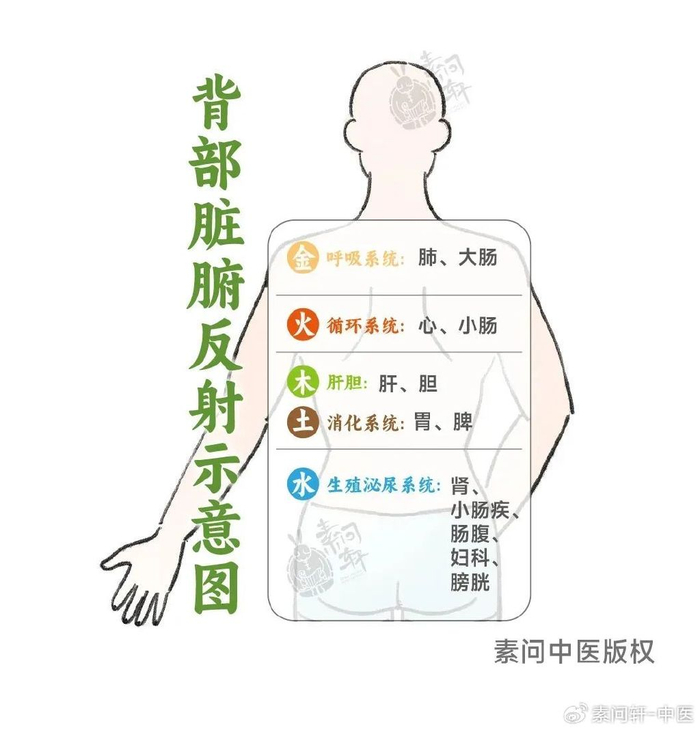 每天揪一揪,背部通畅脸干净,补阳气还不上火__财经头条__新浪财经