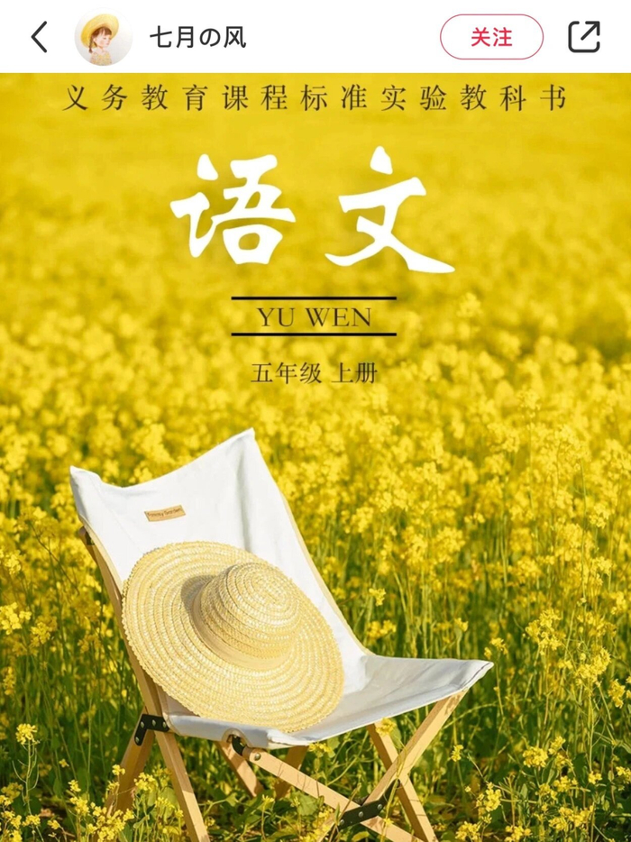 到底有多少人拍到了小学语文课本