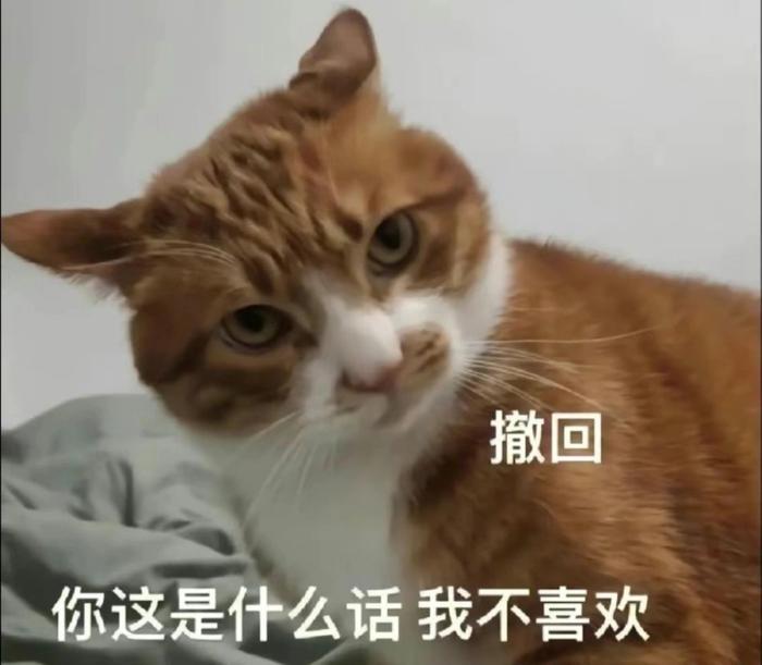 分享一组猫猫表情包