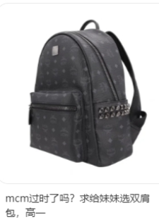 韩剧女主背火的包,没人再爱|奢侈品|韩剧|mcm包_新浪新闻