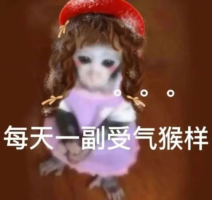 聊天配沙雕表情包?