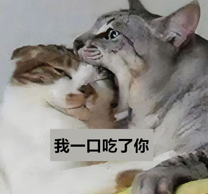 表情包来撩~ 拿图请吱一声~ 更多表情包看我主页!