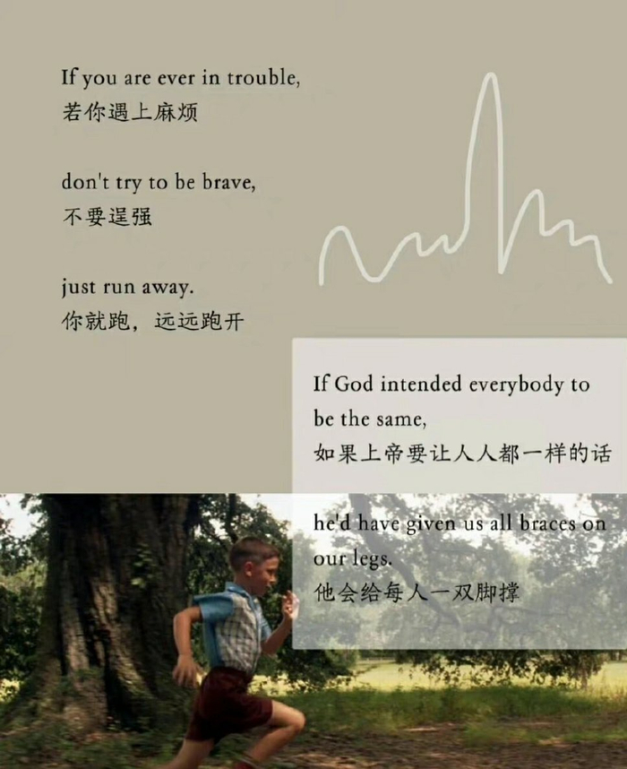 《阿甘正传》电影里的经典台词