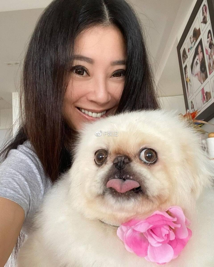 傅明宪穿泳衣搭游艇出海现真实状态脸胖了一圈但好在不再是网红脸