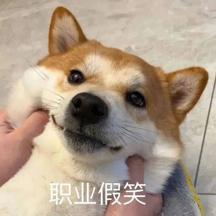 精选表情包女人就是口是心非拿图点赞吱声