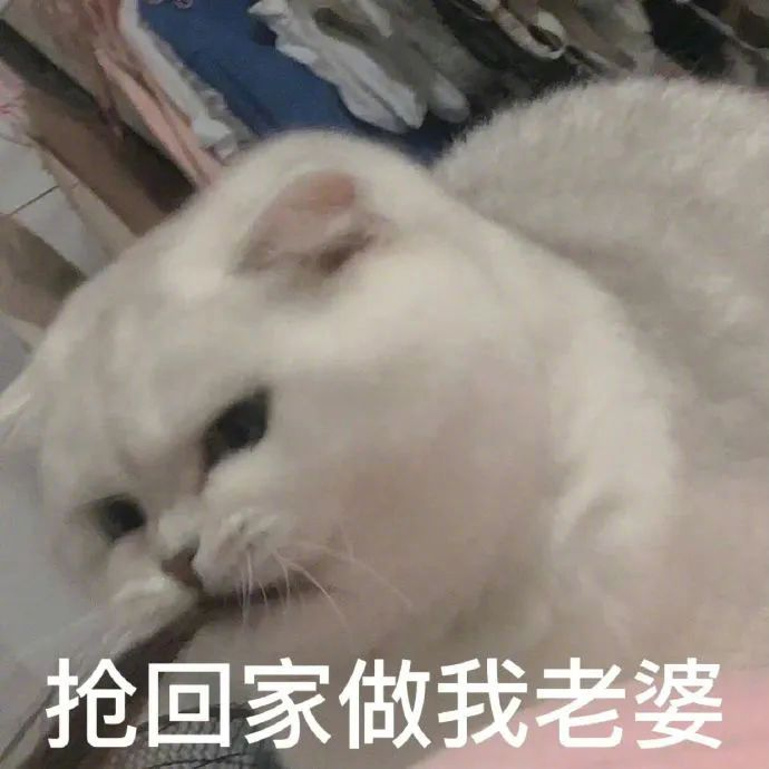 斗图搞笑表情包:抢回家做我老婆 拿图请顺便吱一声 很难有动力发图了