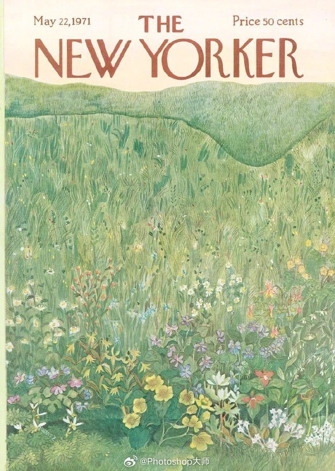 《纽约客》清新封面