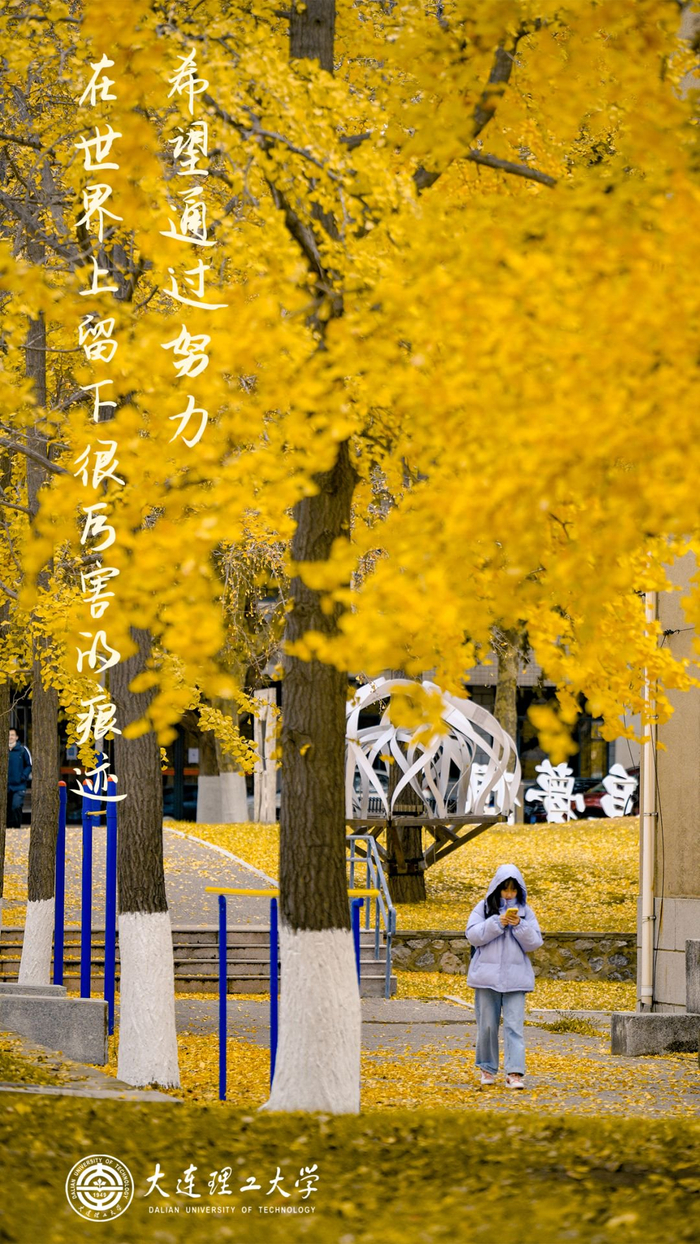 前路漫漫未来可期送你一波大工壁纸奔跑的路上dut与你同行