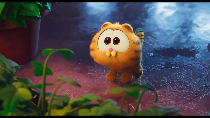 小加菲也太可爱了