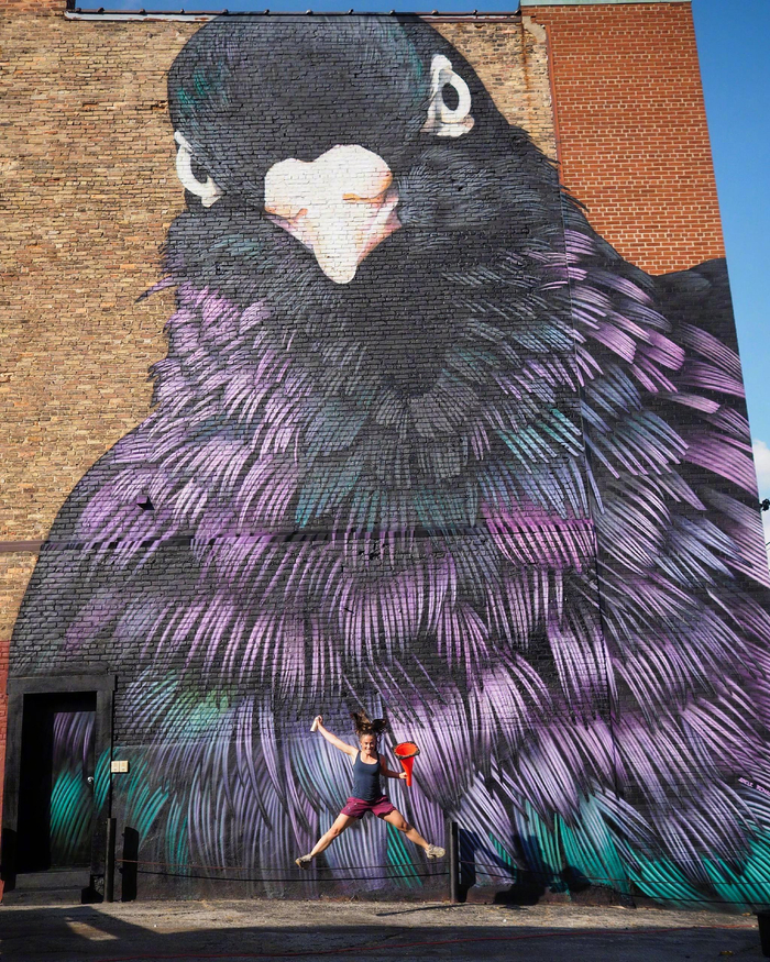 比利时街头艺术家adele renault绘画作品展示