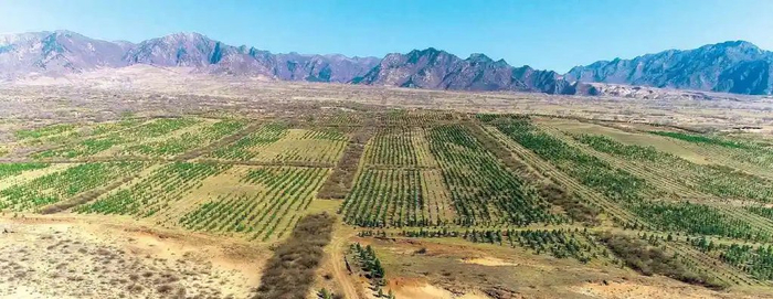 赤峰:坚决防止科尔沁和浑善达克两大沙地"握手"|达克|沙地|科尔沁
