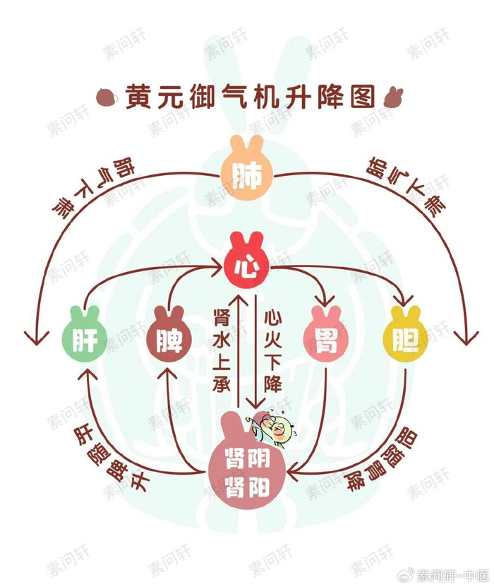 这个不起眼的生阳草,竟是春天养肝第一菜,吃对了阳气足肝脾都好|阳气