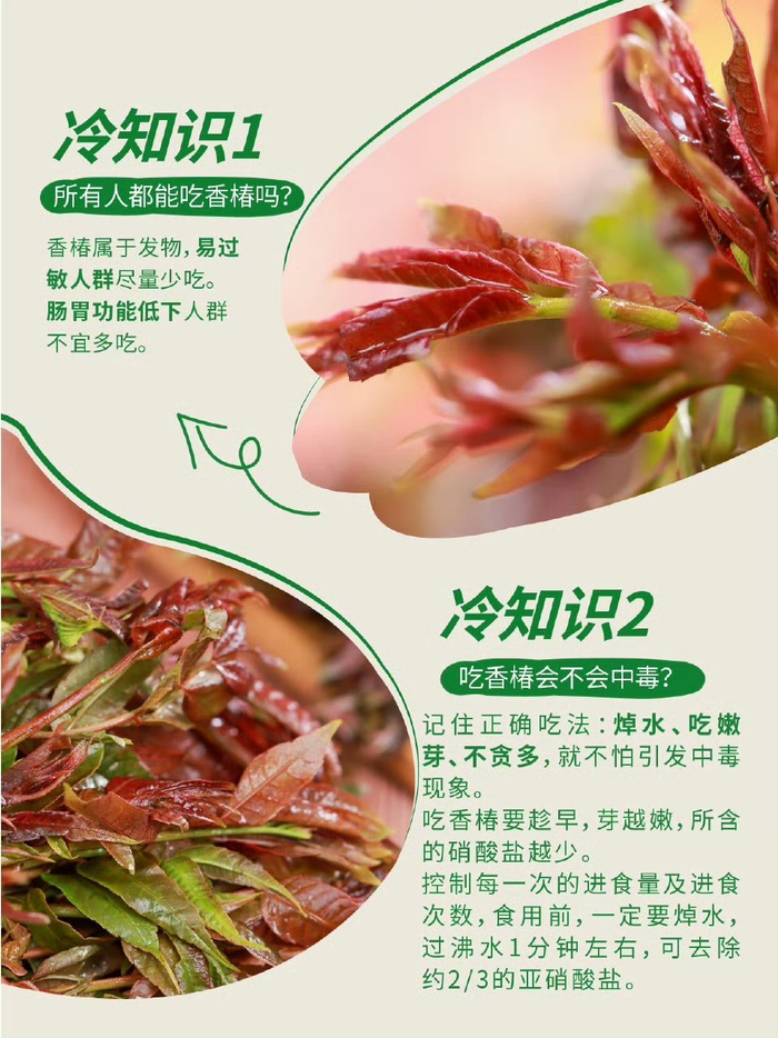 香椿炒鸡蛋谁能拒绝啊,童年的味道实在忘不了,现在终于开始降价了