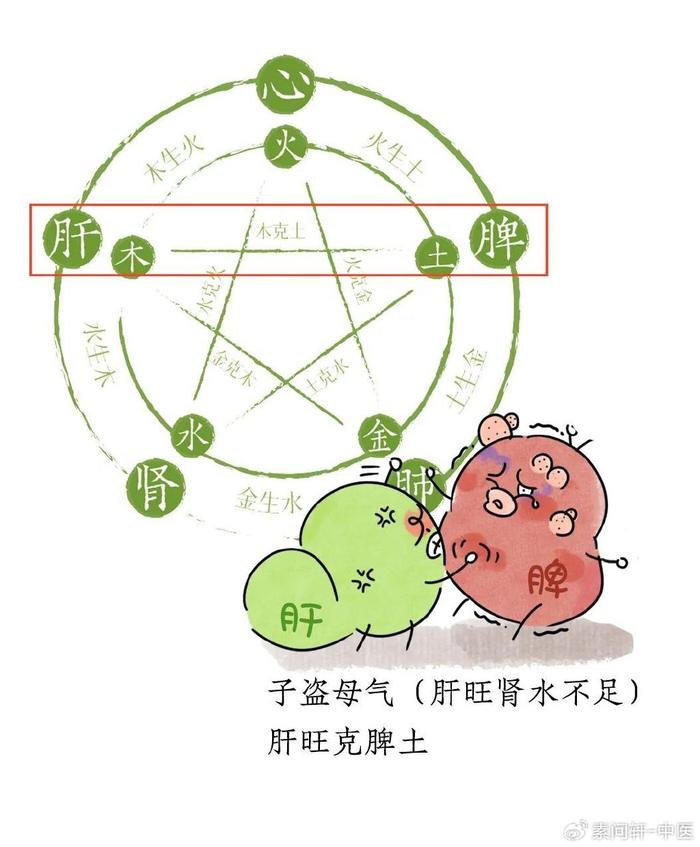 肾精易不足,肝火易旺,脾常虚.究其根本,以和为贵,万事万物逃不出五行.